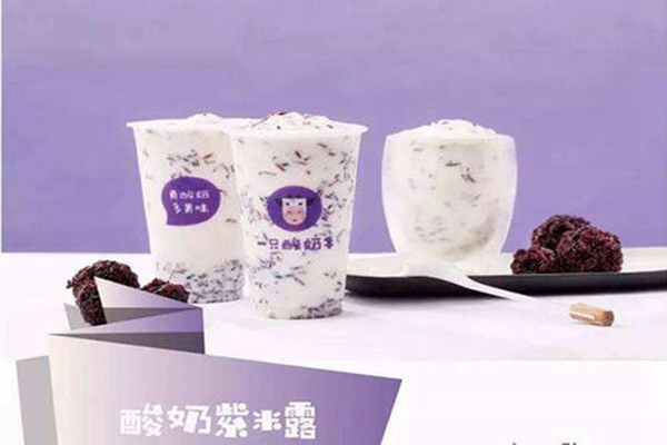 2025一只酸奶牛加盟费明细一览表！一只酸奶牛加盟条件、流程清单表