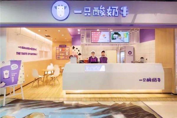 一只酸奶牛加盟总部电话是多少？一只酸奶牛可以加盟吗？(图1)