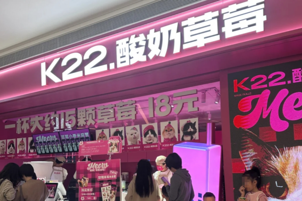 k22酸奶草莓全国有几家店：k22酸奶草莓加盟费多少钱?(图2)